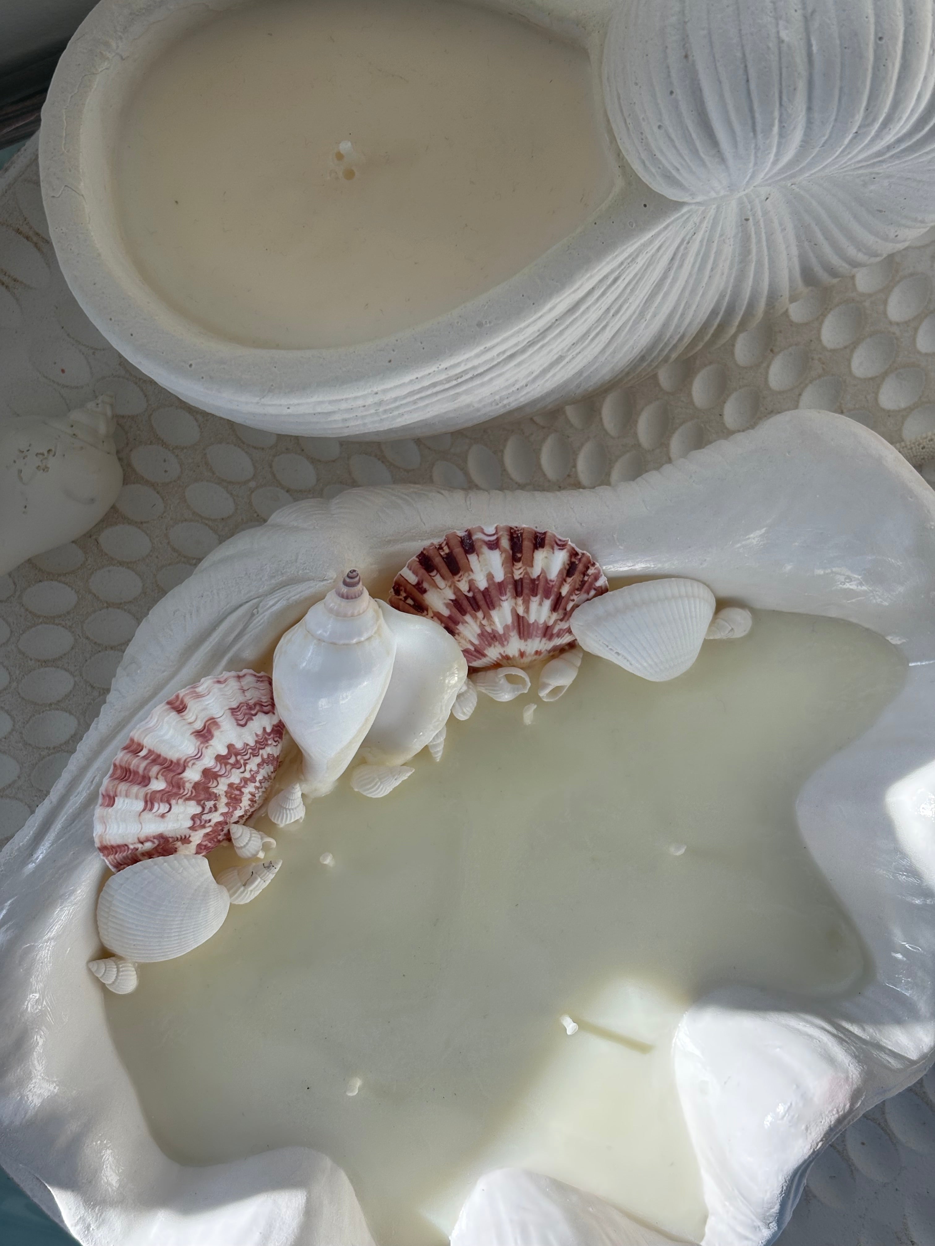Large Clam Shell Candle (Decorated)