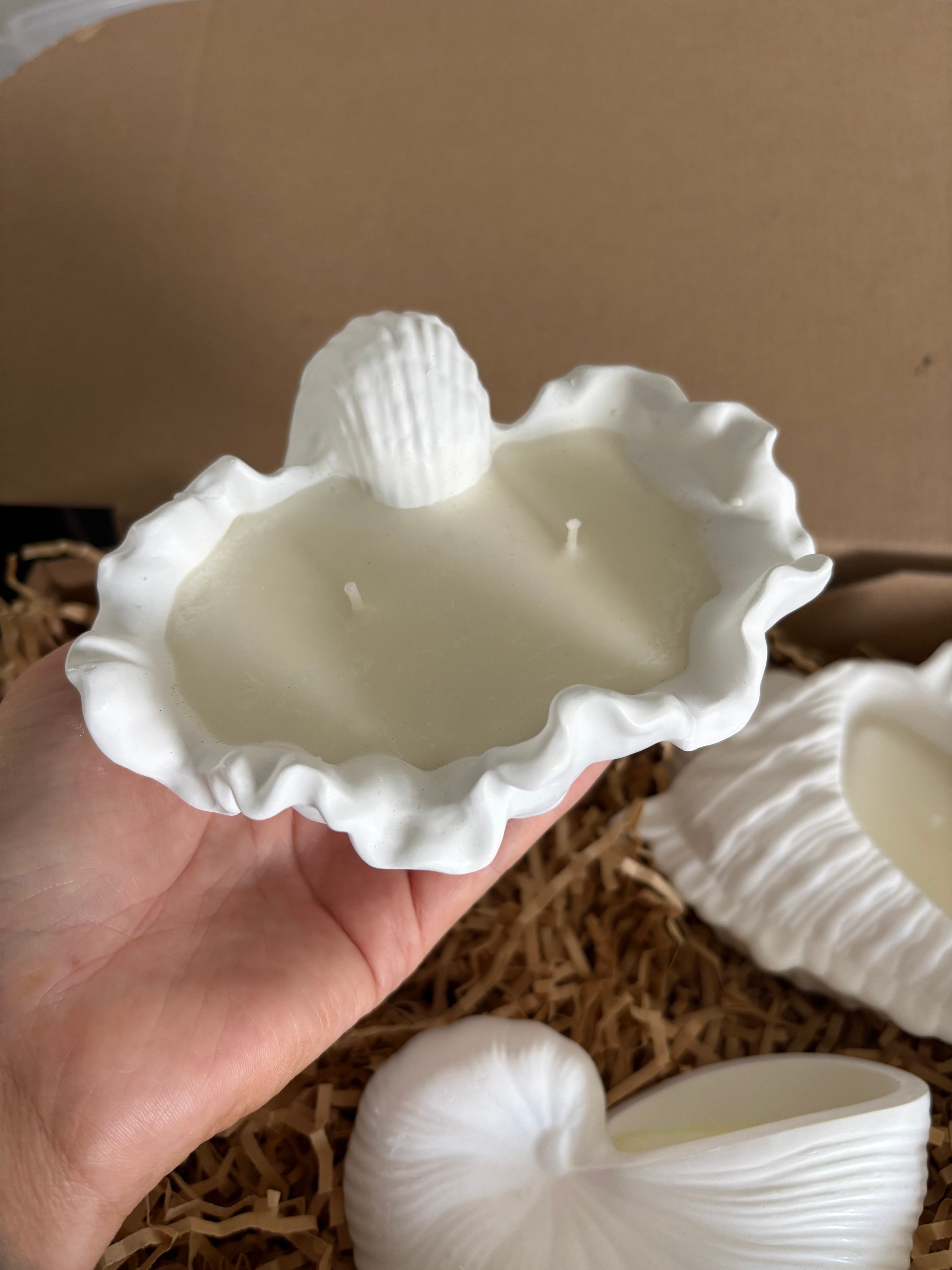 ✨ Coastal Shell Trio Gift Set ✨