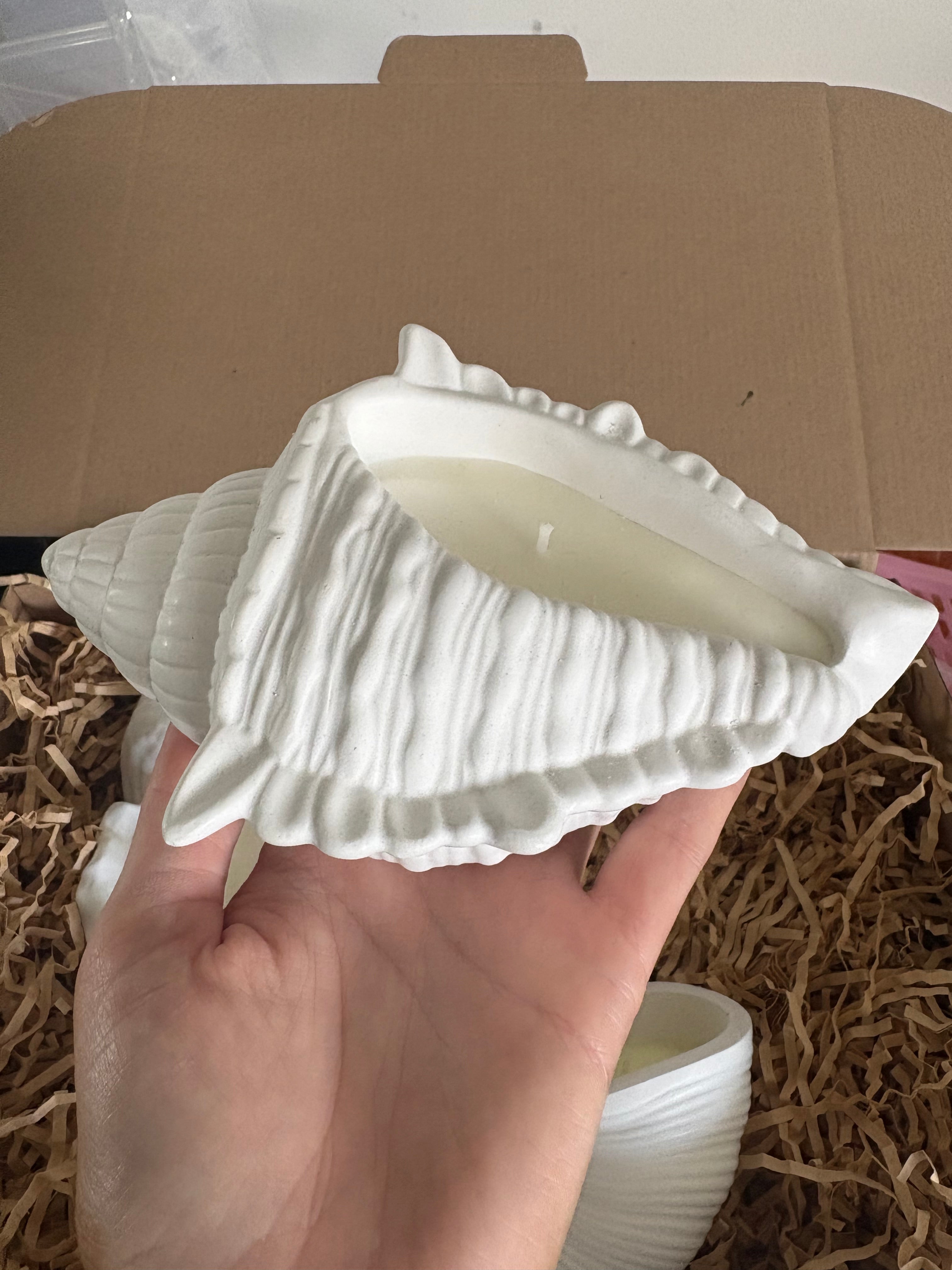 ✨ Coastal Shell Trio Gift Set ✨