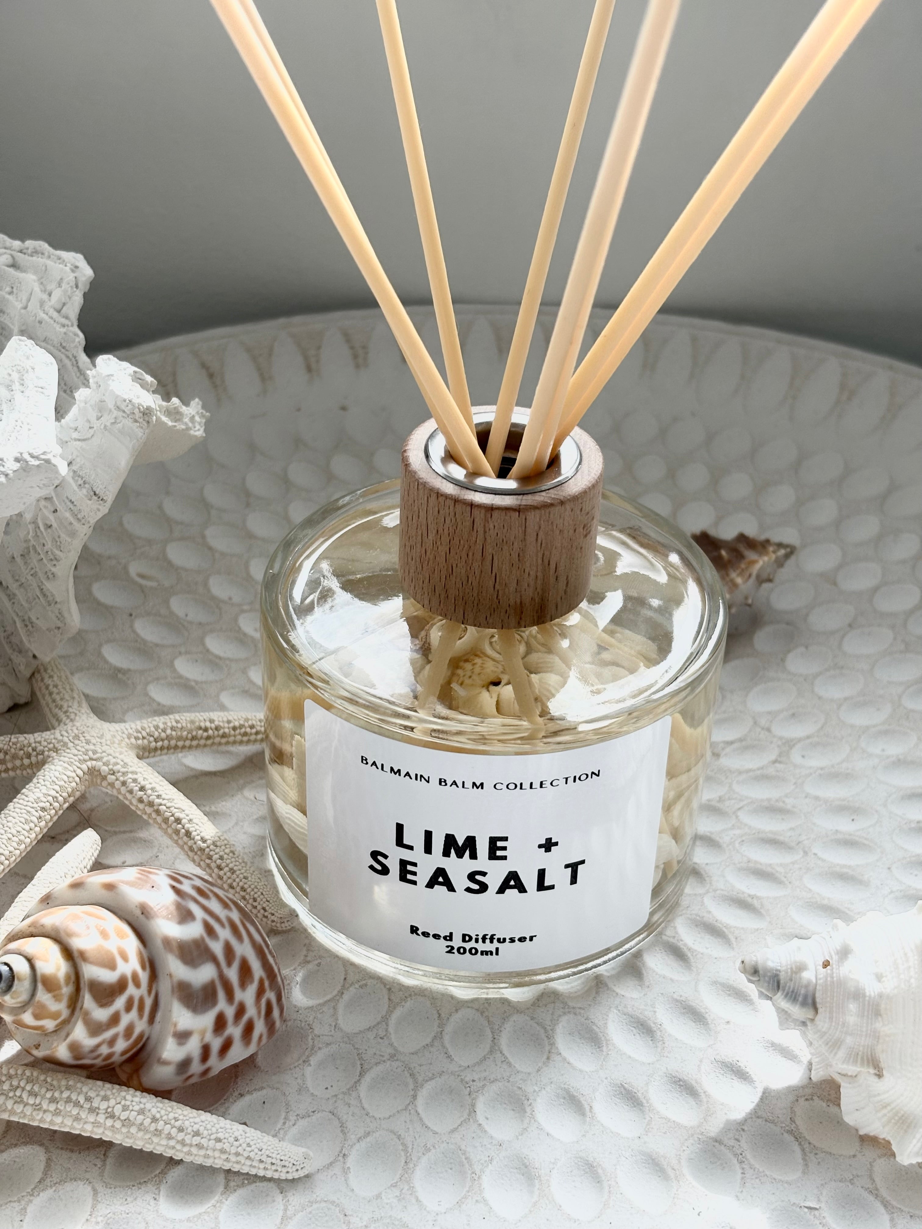 Coastal Shell Reed Diffuser - Lime & Seasalt