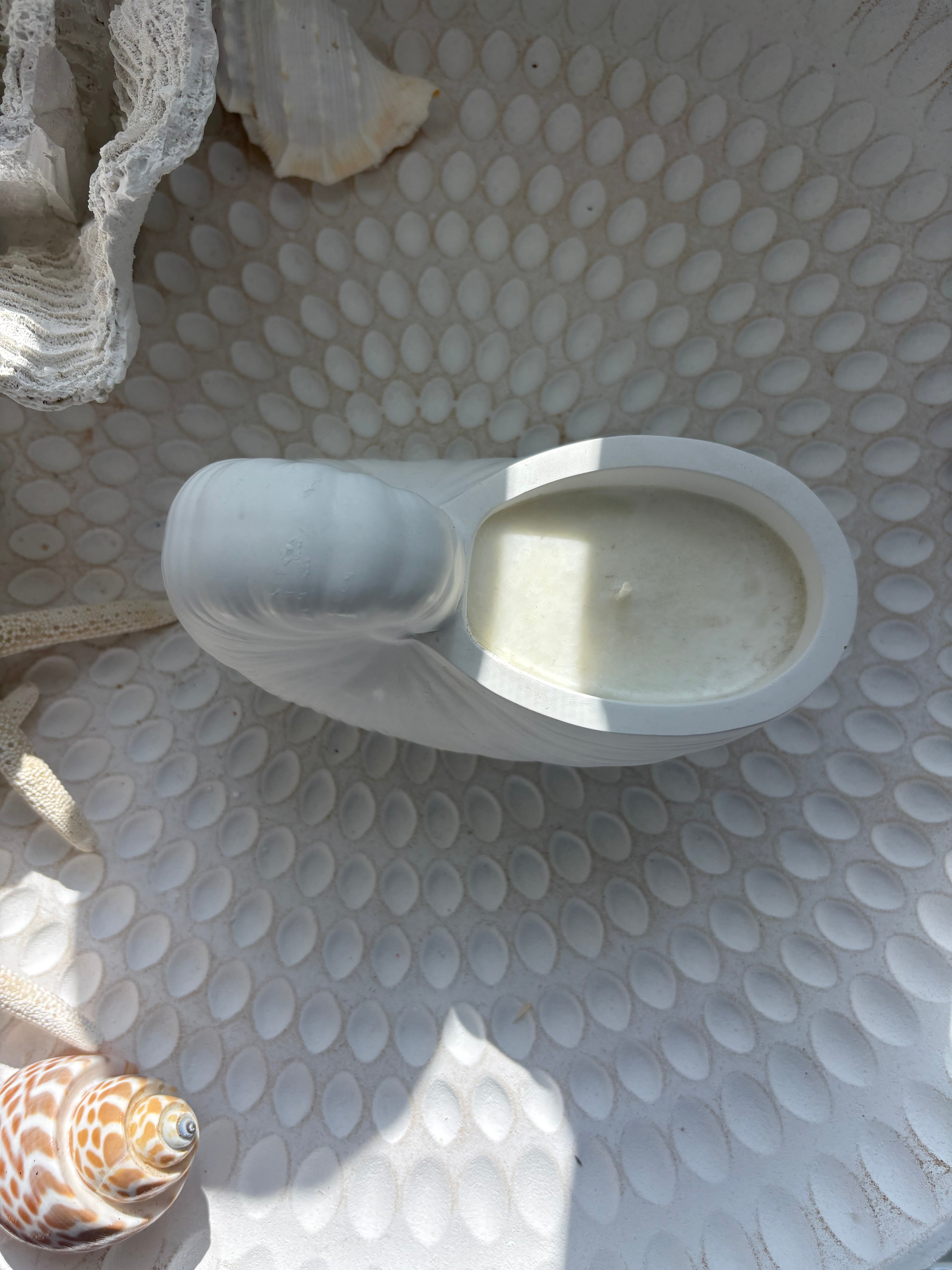 Coral Curl Candle Small