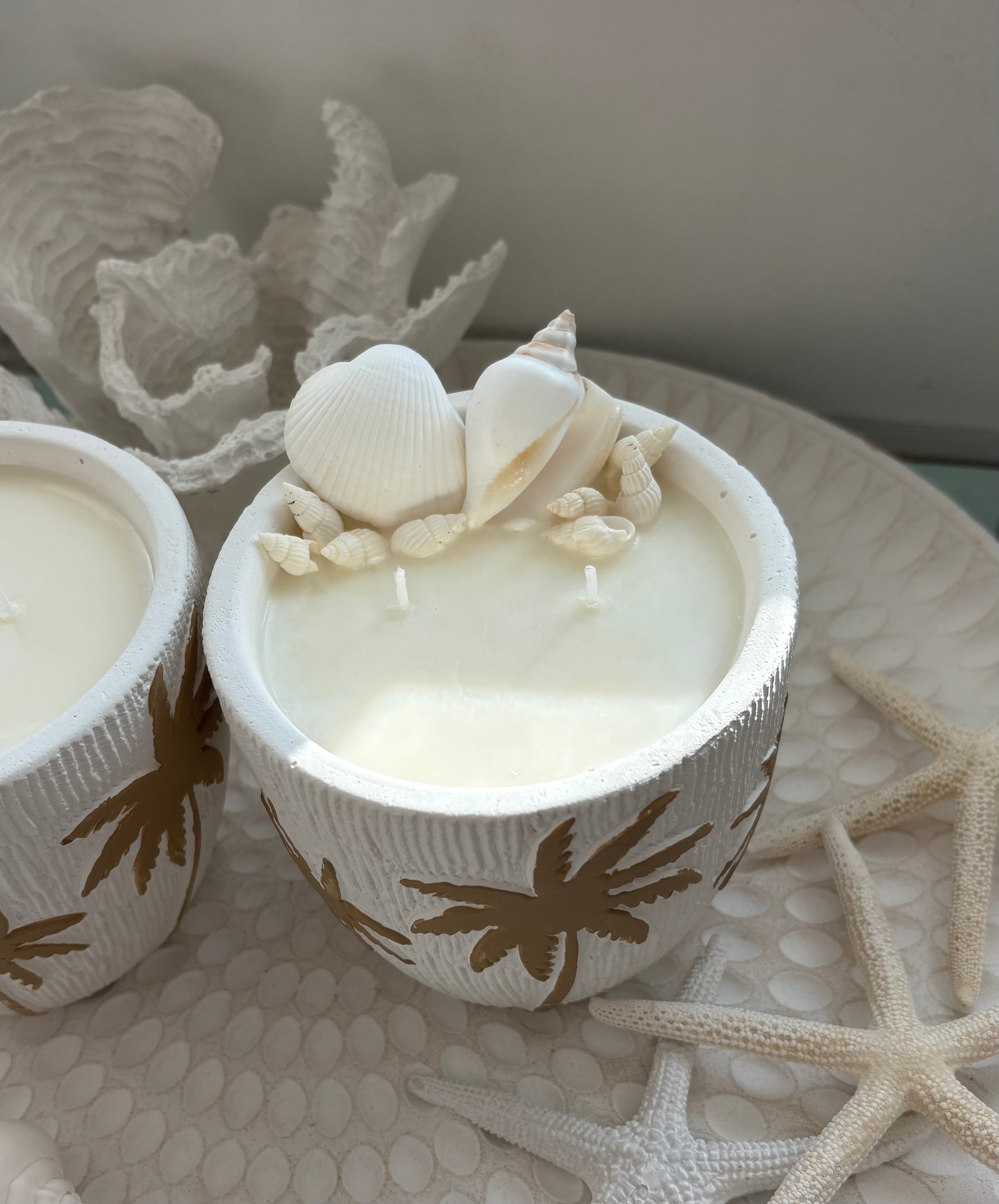 Coastal Palm Candle (Shells)