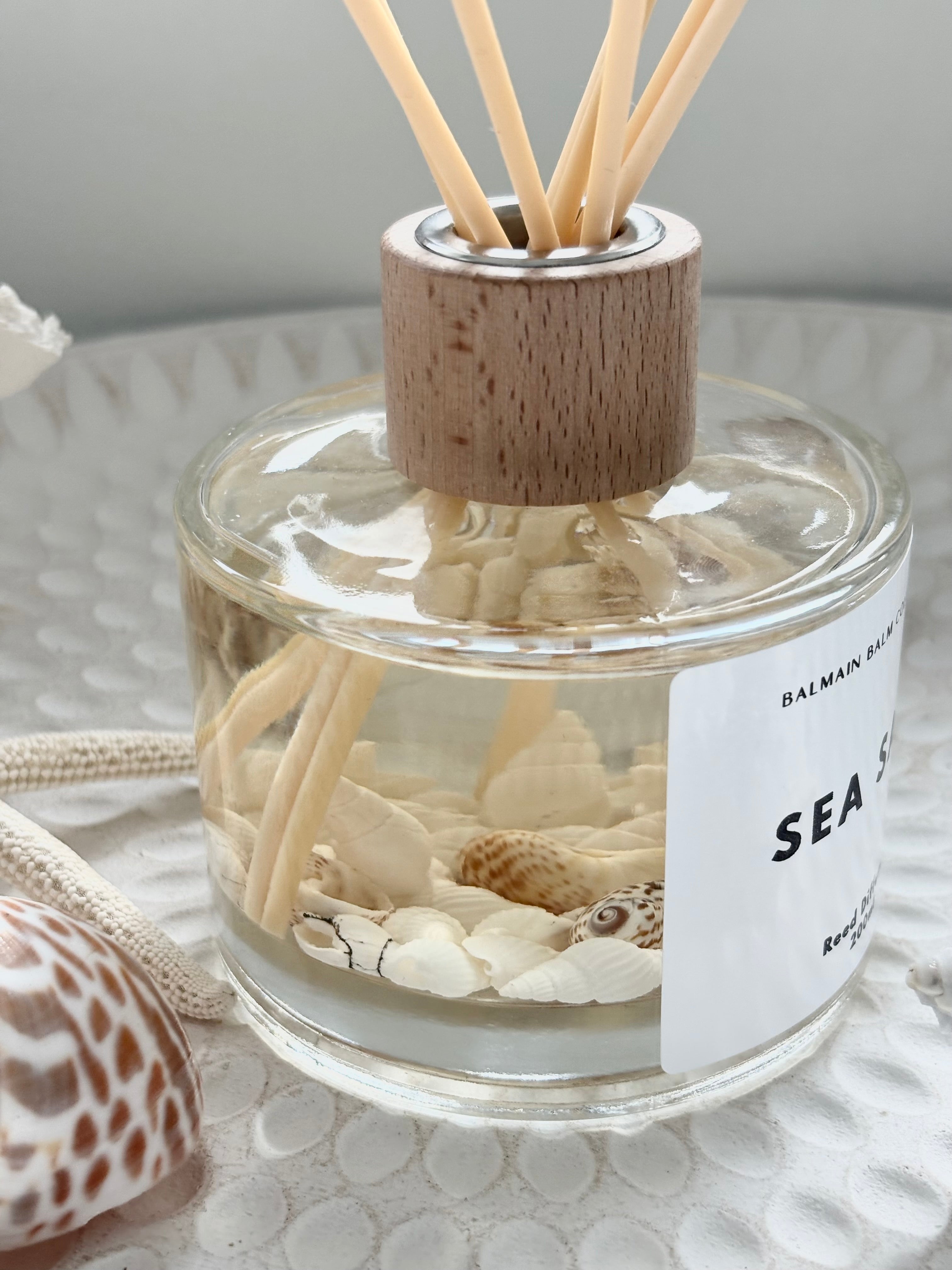 Coastal Shell Reed Diffuser -  Sea Salt
