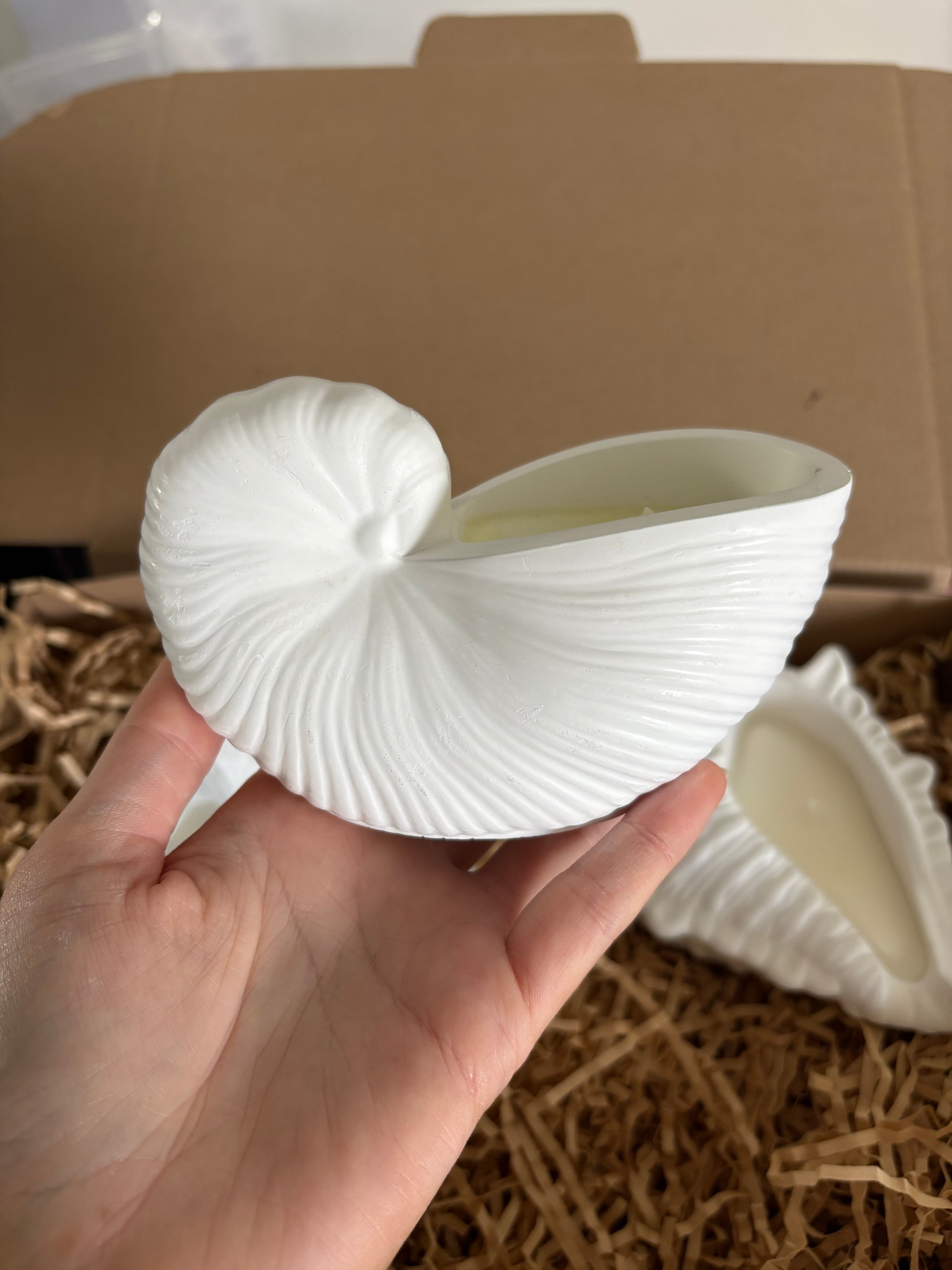 ✨ Coastal Shell Trio Gift Set ✨