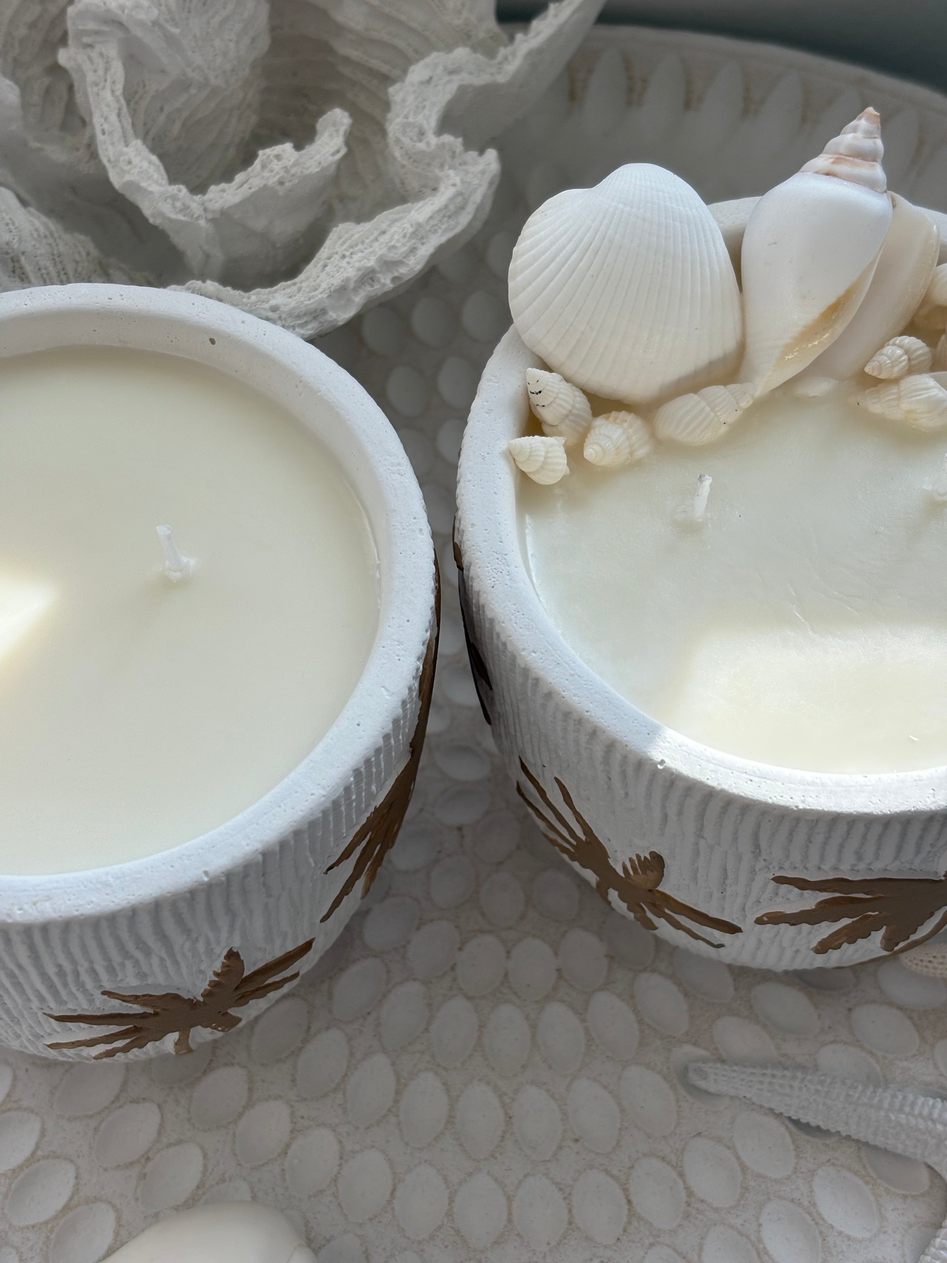 Coastal Palm Candle (Shells)