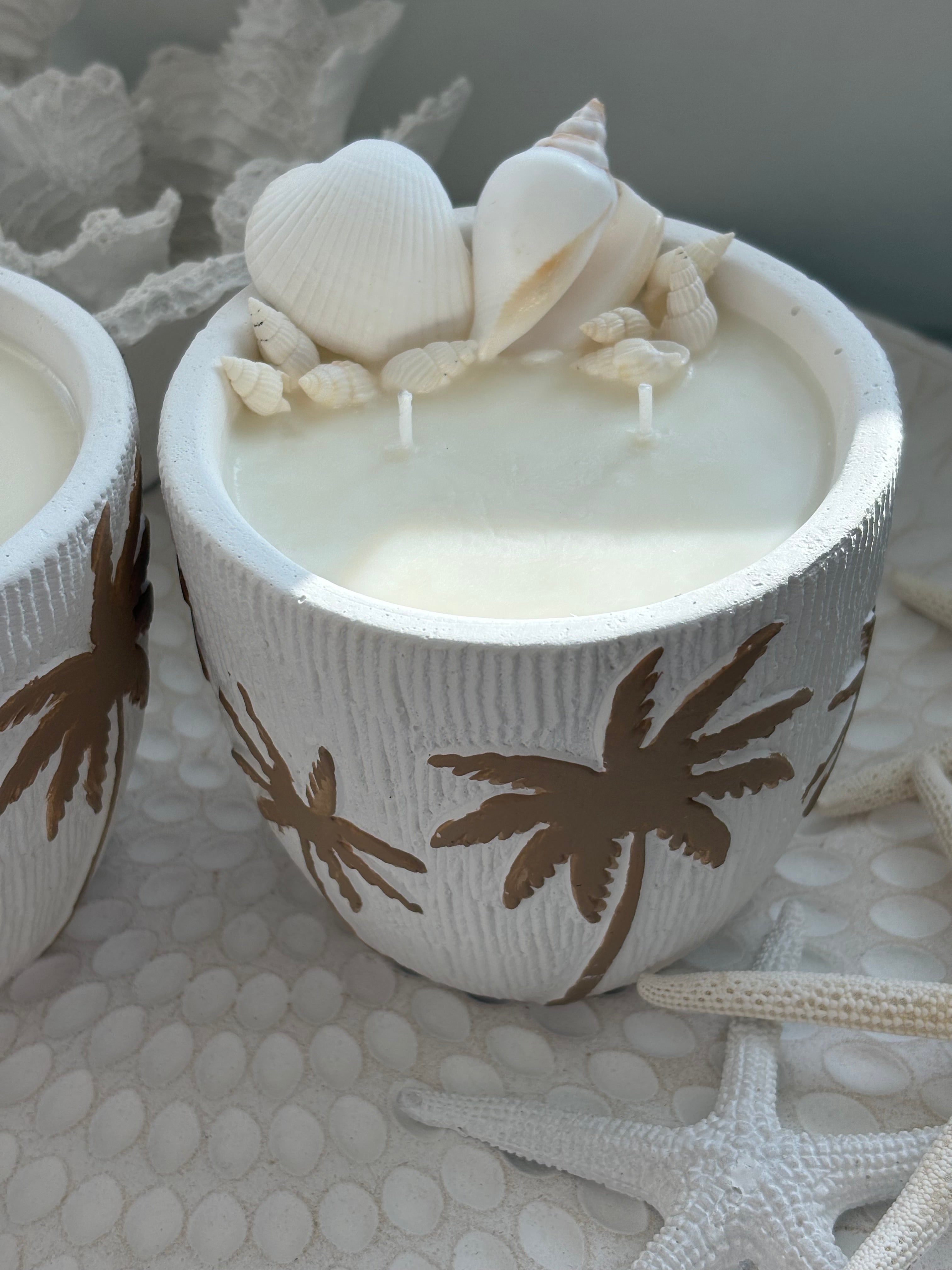 Coastal Palm Candle (Shells)