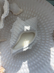 Seashell Candle