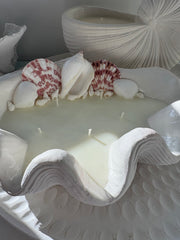 Large Clam Shell Candle (Decorated)
