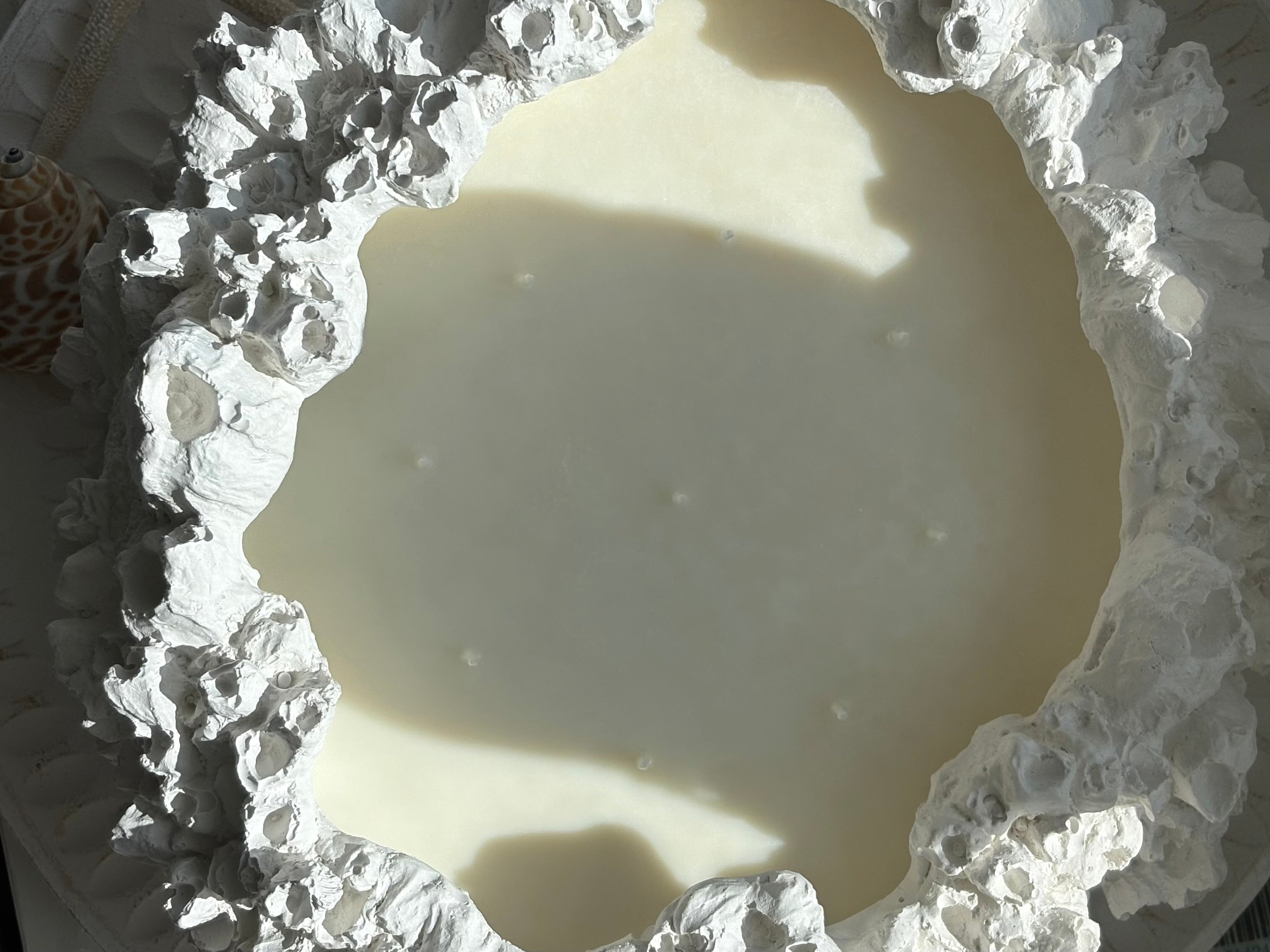 Extra Large Coral Reef Candle – Concrete | 2kg Pure Soy Wax