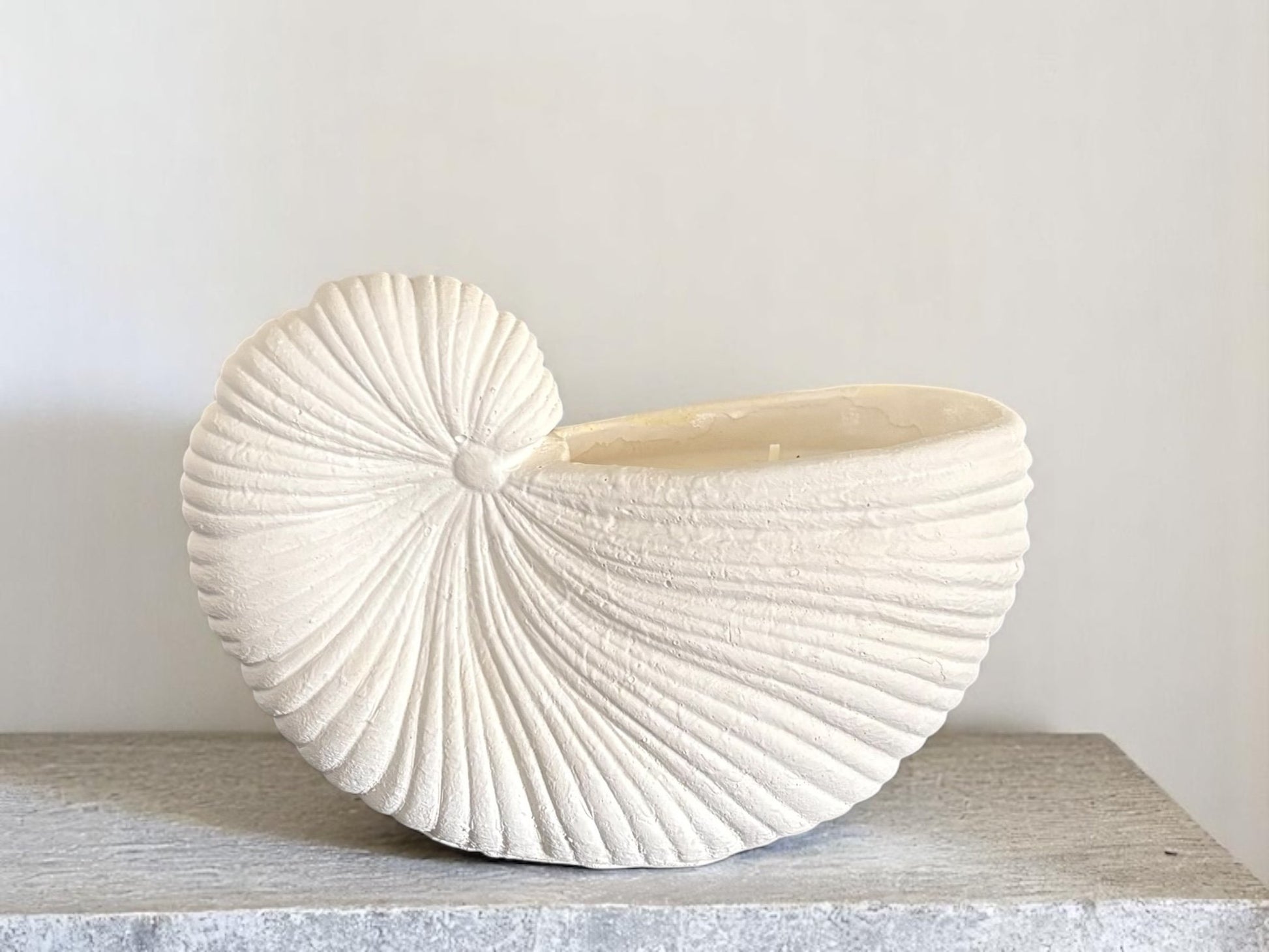 Large Shell Candle
