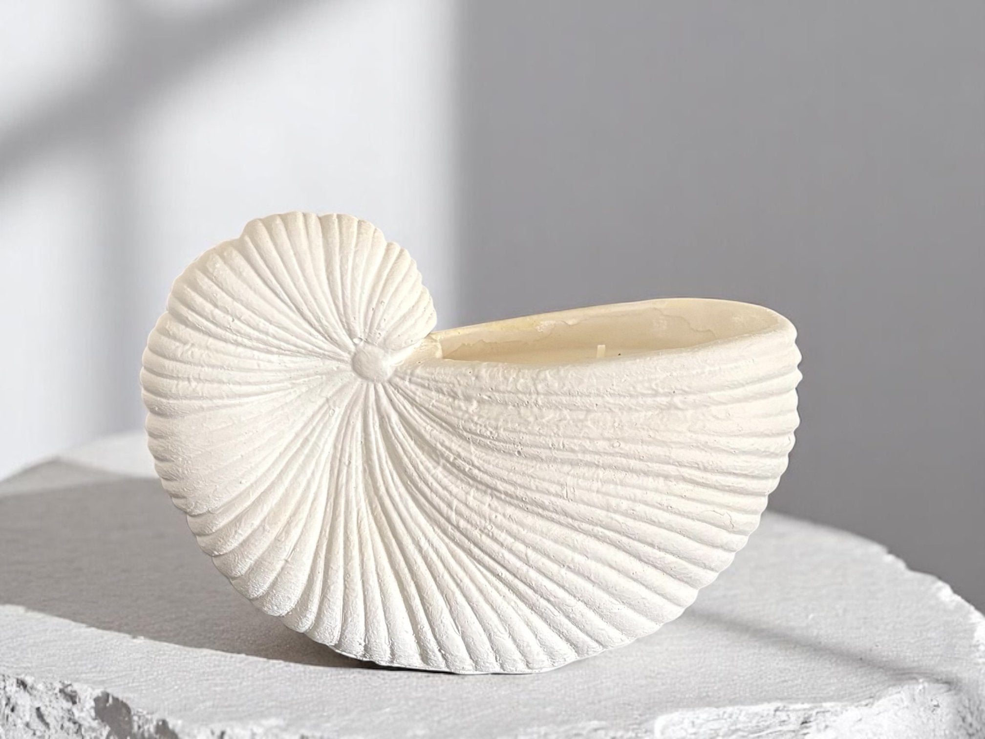 Large Shell Candle
