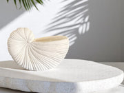 Large Shell Candle
