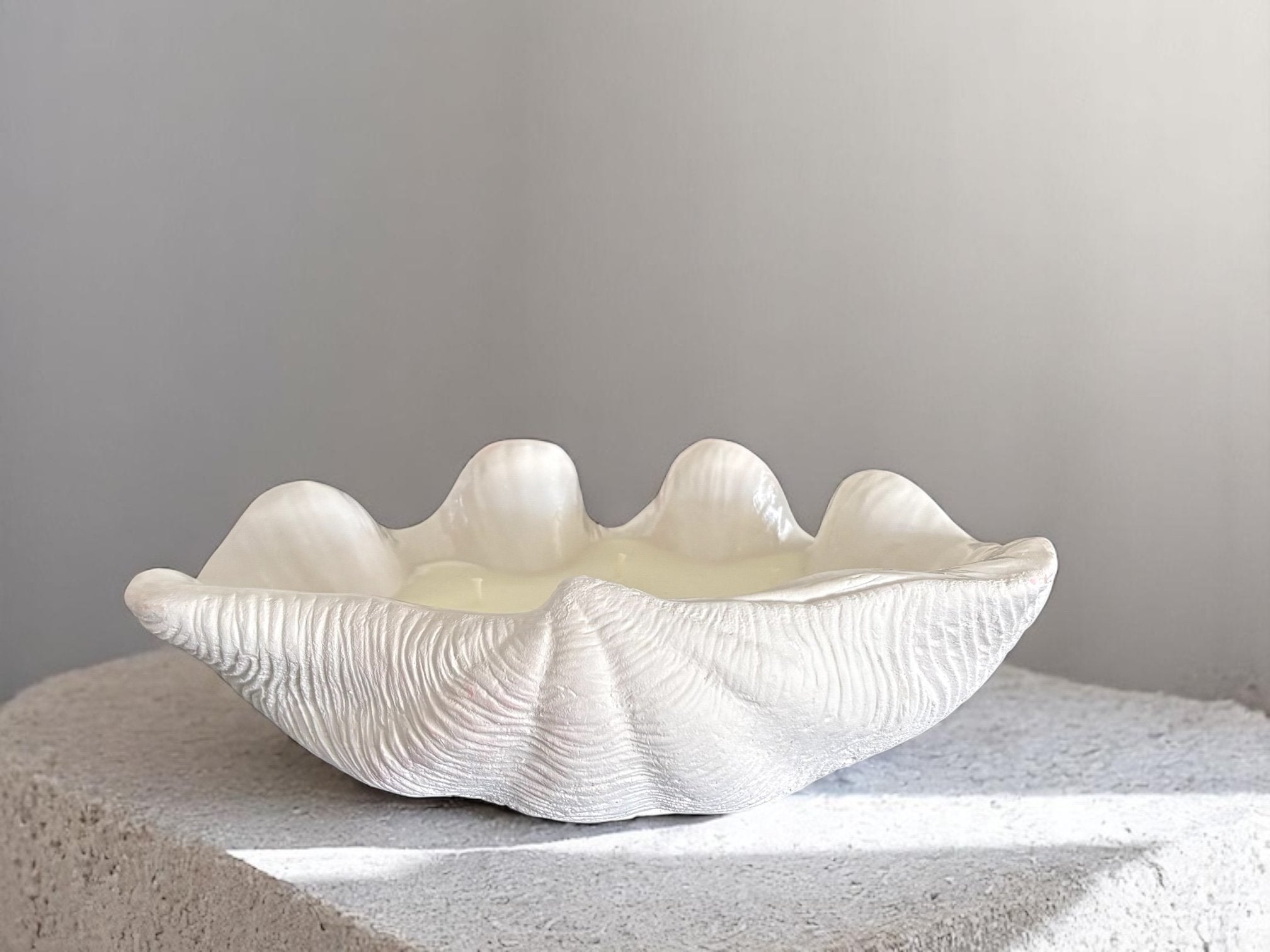 Large Clam Shell Candle