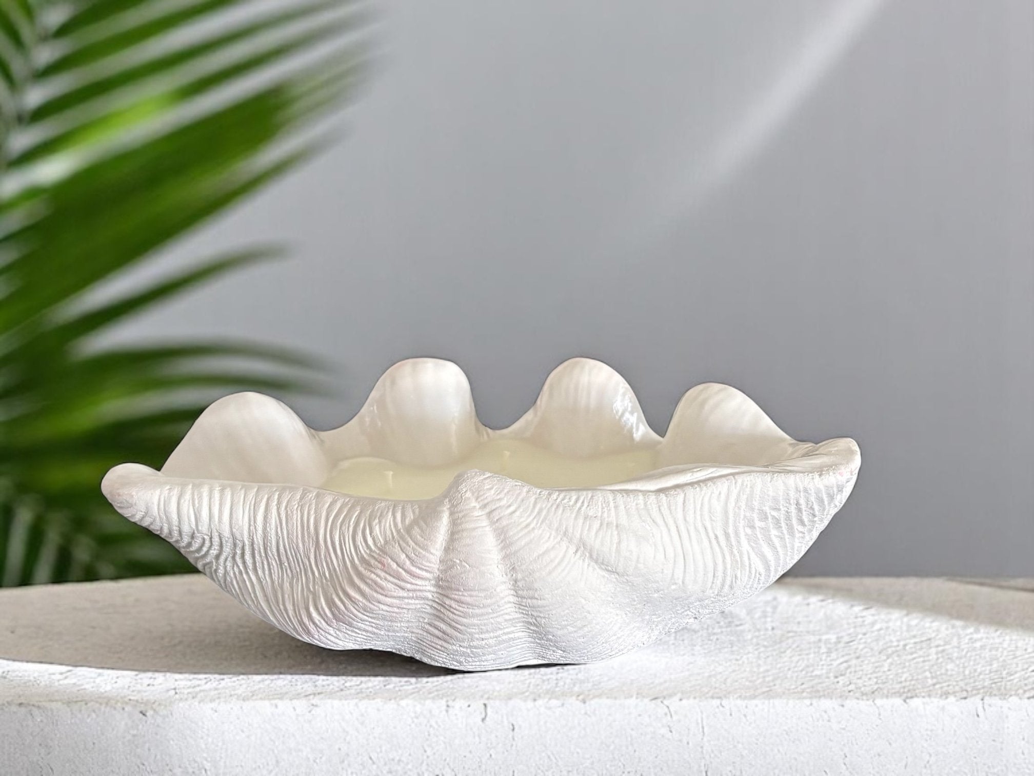 Large Clam Shell Candle