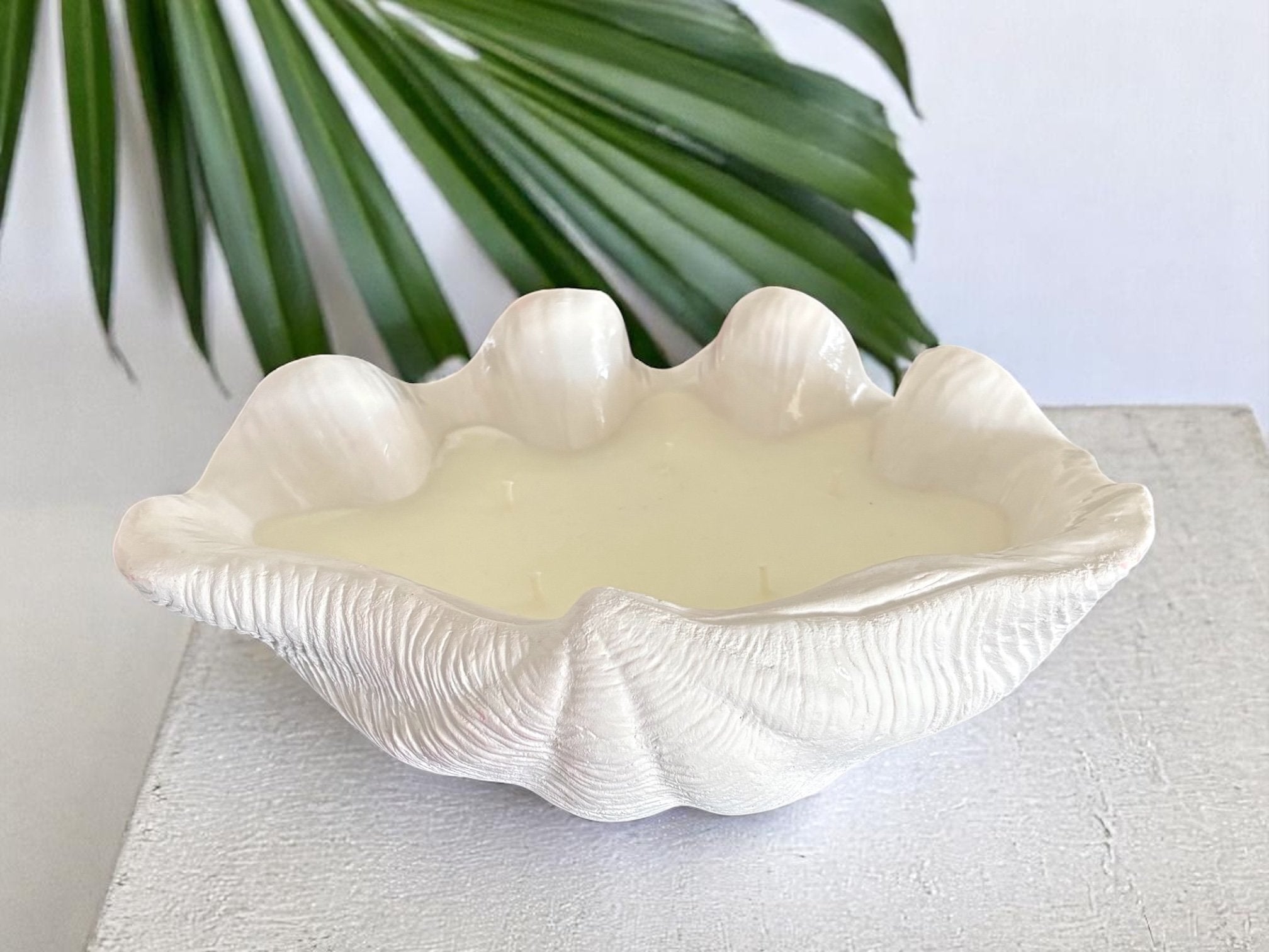 Large Clam Shell Candle