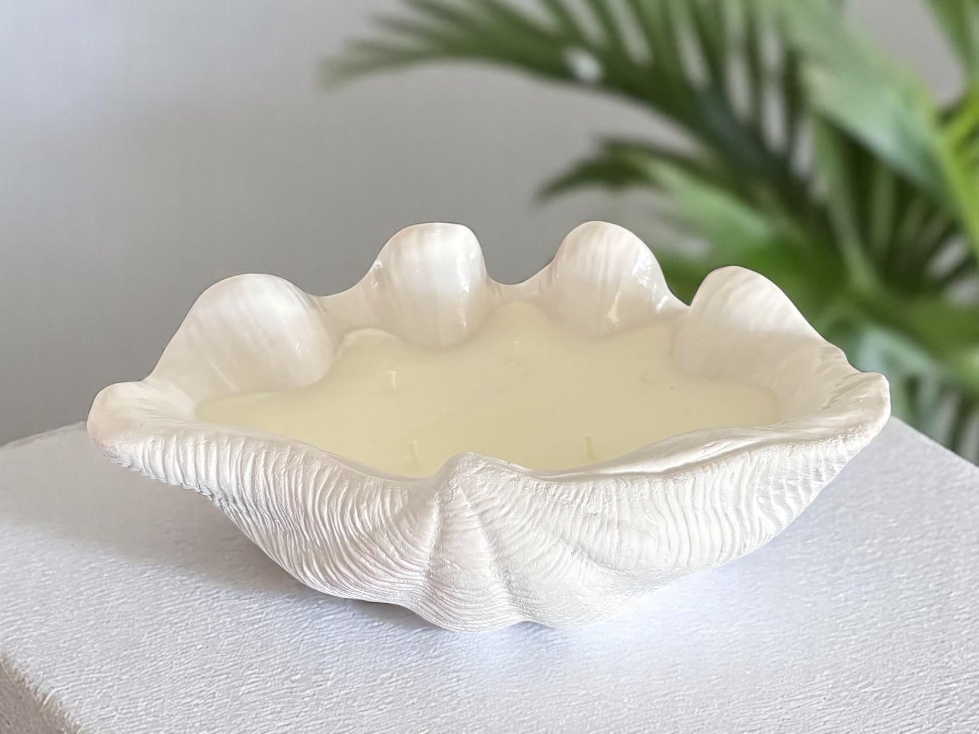 Large Clam Shell Candle